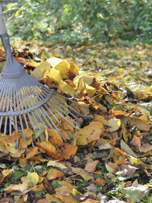 Screenshot 2025-11-03 at 14.51.03 copy